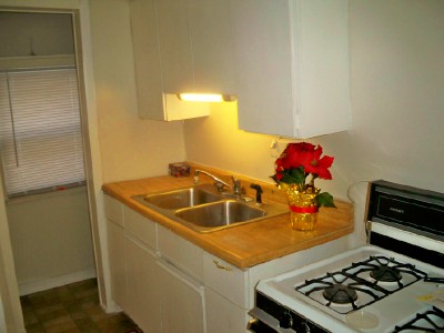 Light  Kitchen Sink on Newly Installed Work Light Over The Kitchen Sink To Prepare Food Or